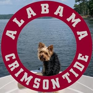 Meet your Posher, Anna beth